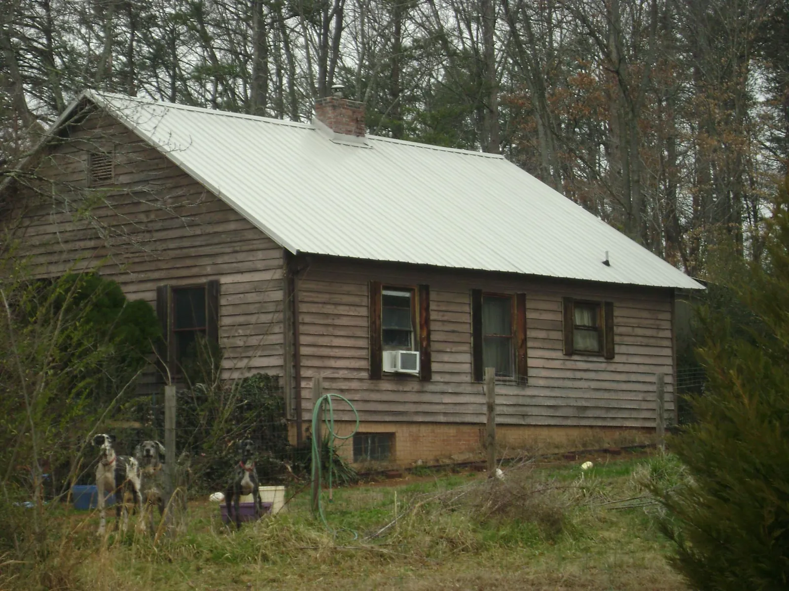 White metal roof on an old wood sided farmhouse, from a Asphalt Shingle Roof Repair job in Struthers